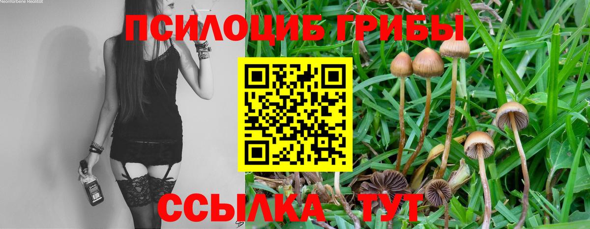 Псилоцибиновые грибы мухоморы Грозный