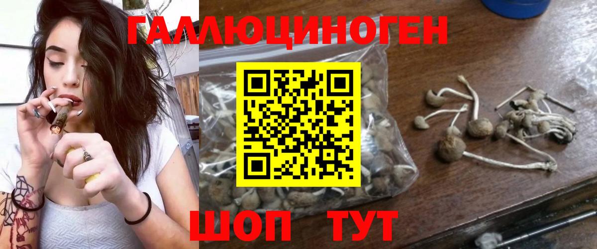 Галлюциногенные грибы мухоморы  Галлюциногенные грибы MAGIC MUSHROOMS  Вход с VPN  Грозный 